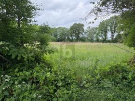 Eiendom land / skogbruk til salgs i Lutzhorn, Tyskland Eiendom land / skogbruk til salgs i Lutzhorn, Tyskland