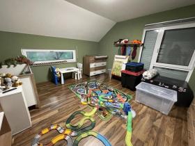 独立式住宅 特林进口  德国