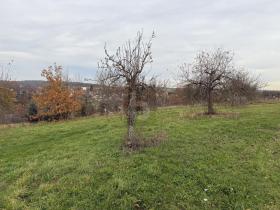terrain à bâtir en vente à Schönbrunn-Arrondissement de Rhin-Neckar, Allemagne