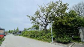 inşaat alanı Kellinghusen Satılık Almanya