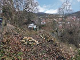 building ground  Schmalkalden for sale Germany