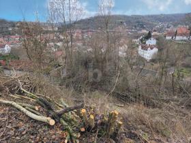 building ground  Schmalkalden for sale Germany