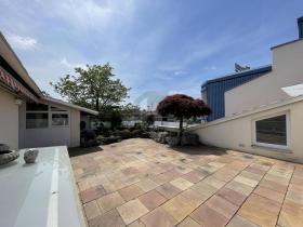 αίθουσα εργοστασίου προς πώληση στο Μπίνζεν-Lörrach, Γερμανία