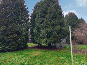 building ground  Schleusingen for sale Germany