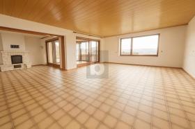 独立式住宅 达塞尔  德国