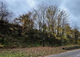 byggegrunn til salgs i Bullay, Tyskland