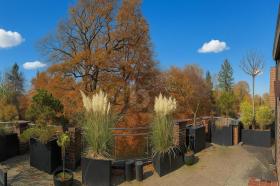 扁平 汉堡  德国