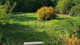 Bouwgrond Suhl Te Koop Germany