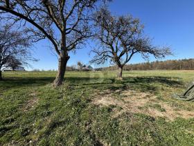 строительная площадка Оберёффлинген Продаётся Германия