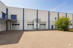 Hal Colditz te koop Germany