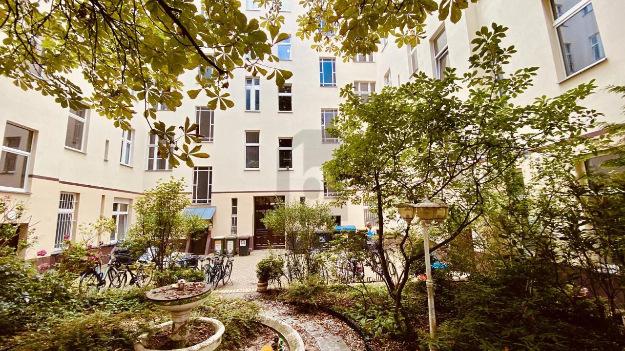 Lapos Berlinó Eladó Németország