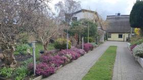 Doppelhaushälfte Zu verkaufen in Breege, Deutschland