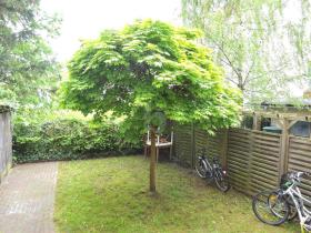 Living & Firm, business-like Rostock À venda Alemanha