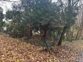 building ground For Sale in Bochum-Hiltrop, Germany building ground For Sale in Bochum-Hiltrop, Germany