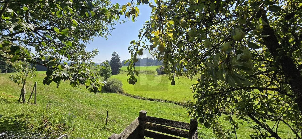 moradia geminada 
 Röthenbach (Allgäu) À venda Alemanha