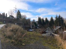 terreno edificabile Suhl In vendita Germania
