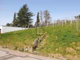 Bouwgrond Bühlertal te koop Germany