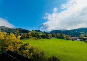 Semi-detached house For Sale in Oberstaufen-Bad Rain, Germany