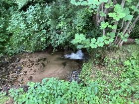 Bouwgrond Bad Herrenalb te koop Germany
