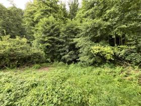 Bouwgrond Bad Herrenalb te koop Germany