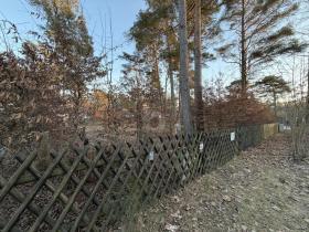 Baugrundstück Zu verkaufen in Wandlitz, Deutschland