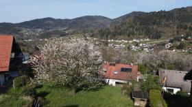 building ground  For Sale in Bühlertal-Rastatt, Germany
