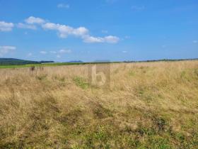 building ground  For Sale in Großlittgen-Bernkastel-Wittlich, Germany