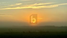 Plots / Land  For Sale in Ostseebad Prerow, Germany