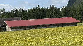 农场 取消抵押品赎回权 于 加斯, 奥地利