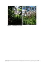 tarımsal Yüzey Plank am Kamp Açık artırma / rehine Avusturya