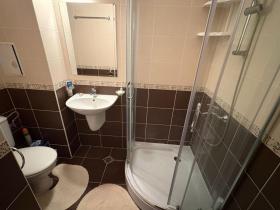 扁平 圣弗拉斯  保加利亚