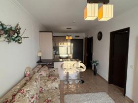 扁平 圣弗拉斯  保加利亚