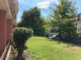 扁平 圣弗拉斯  保加利亚