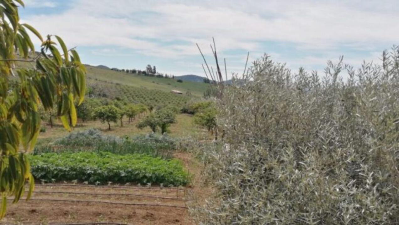 Ladanjskoj kući Alora Na prodaju Španjolska