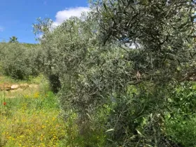 Casa de campo Alora Venda Espanha