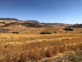 Casa de campo Alora Venda Espanha