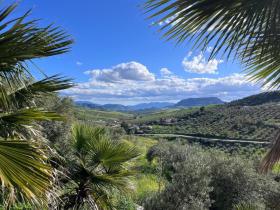 Вилла Алора Продажа Испания