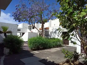 扁平 阿罗纳  西班牙