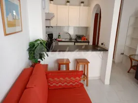 Eiendom land / skogbruk Los Cristianos  Spain