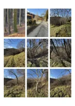 γεωργικός Επιφάνεια Κατασχέσεις στο Sausal Gebirge, Αυστρία