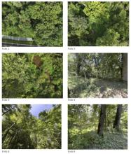 Forest Foreclosures in Vogau, Austria Forest Foreclosures in Vogau, Austria