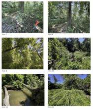 Šumski Vogau Aukcija / foreclosure Austria