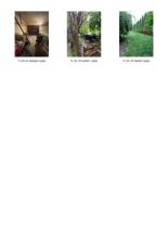 Mehrfamilienhaus Tristach Versteigerung Österreich