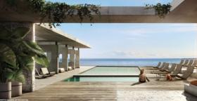 Landbouw/Bosbouw Coconut Grove Te Koop Verenigde Staten