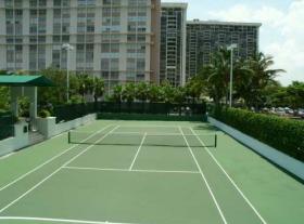 扁平 迈阿密  美国