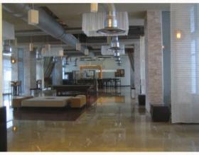 扁平 迈阿密  美国