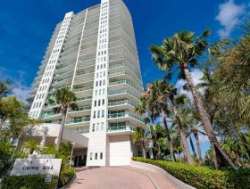 扁平 椰林  美国