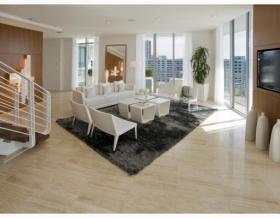 扁平 迈阿密滩  美国