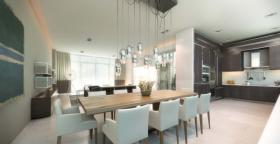 扁平 瑟夫赛德  美国