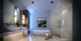 扁平 瑟夫赛德  美国